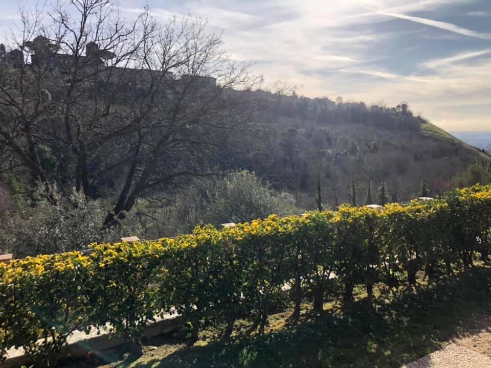 Photo of Outdoor in Caserta Vecchia