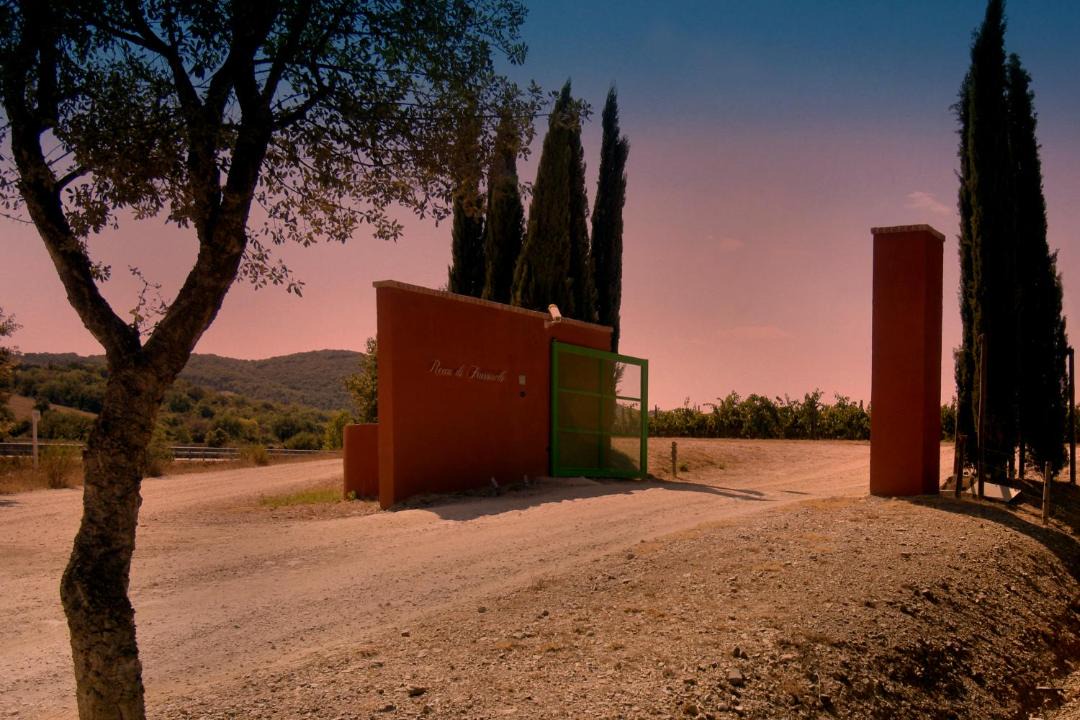 Photo of Others in Gavorrano