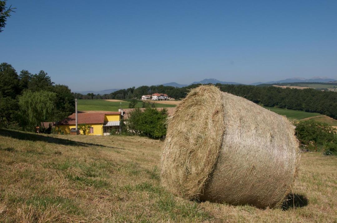 Photo of Others in Riccia
