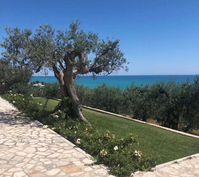 Photo of Others in Vasto