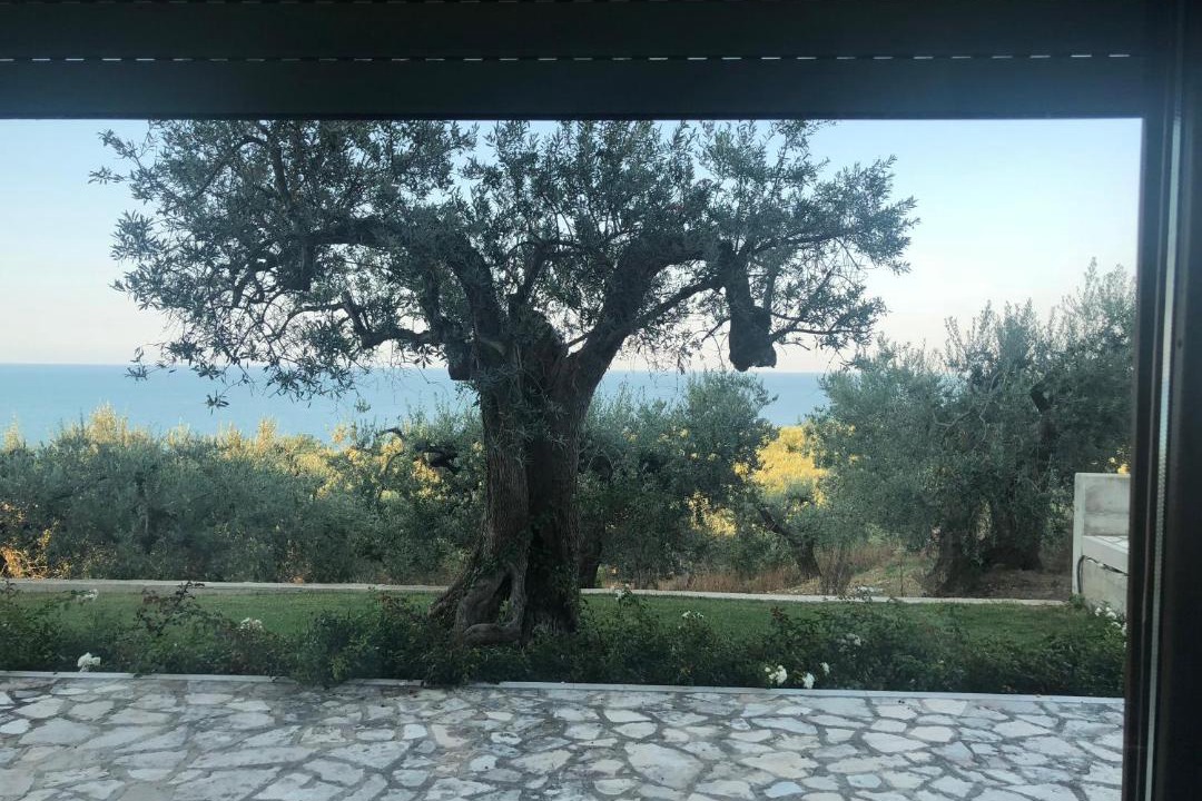 Photo of Others in Vasto