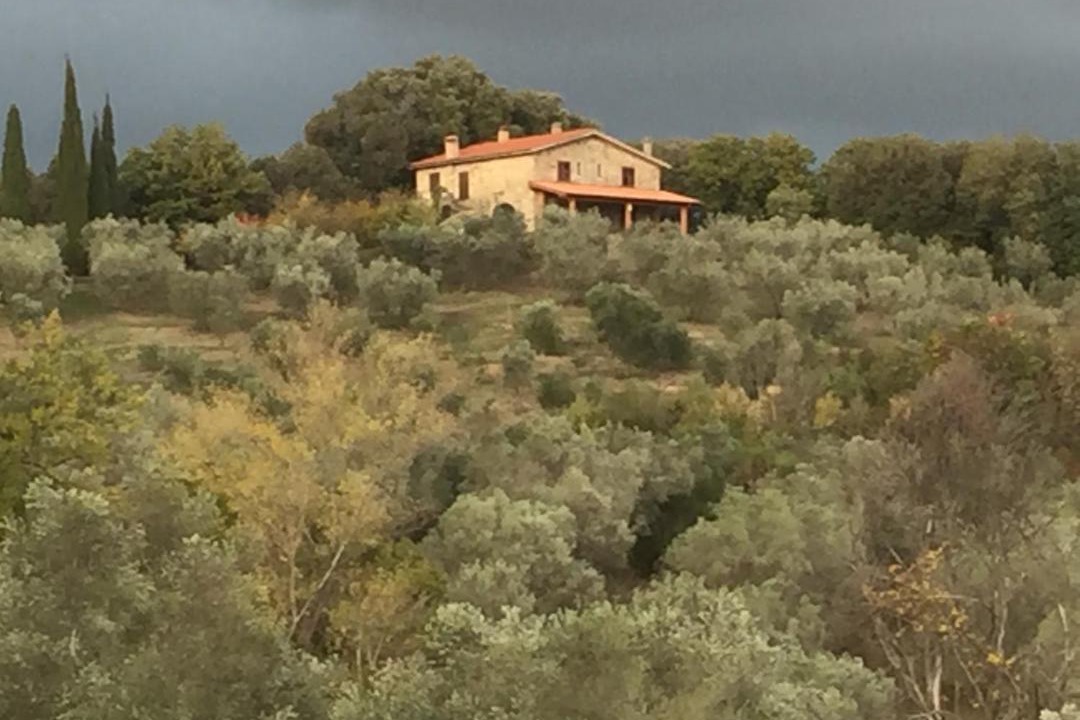 Photo of Others in Roccastrada