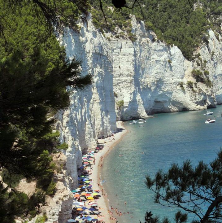Photo of Others in Mattinata