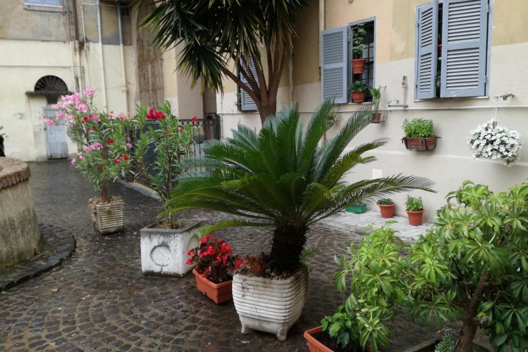 Photo of Buildings in Trastevere