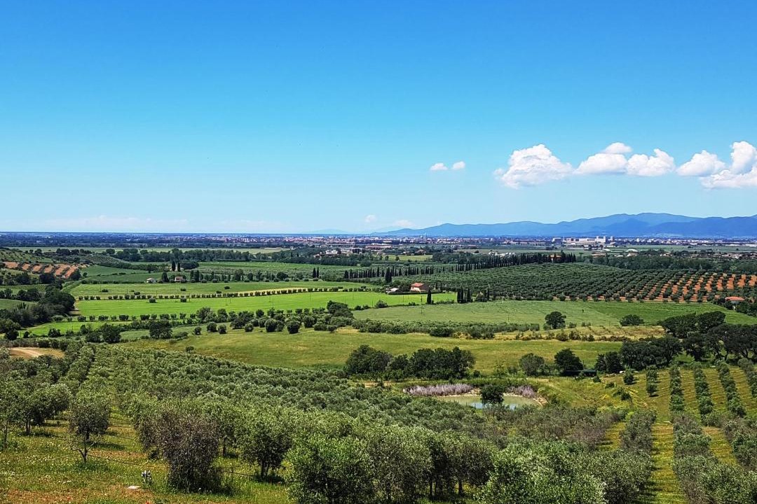 Photo of Others in Grosseto