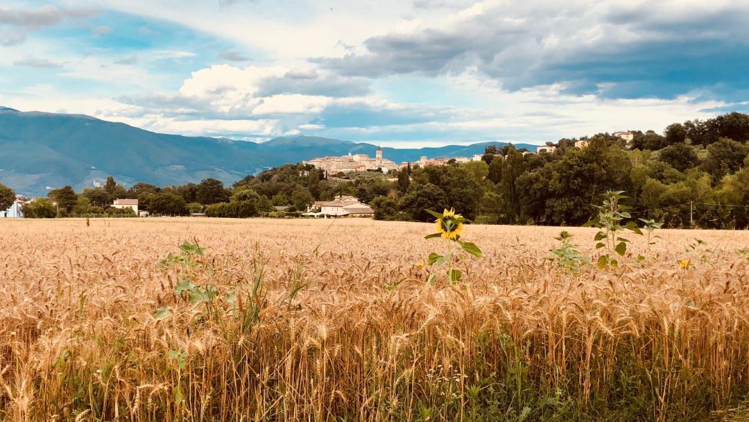 Photo of Outdoor in Castel Ritaldi