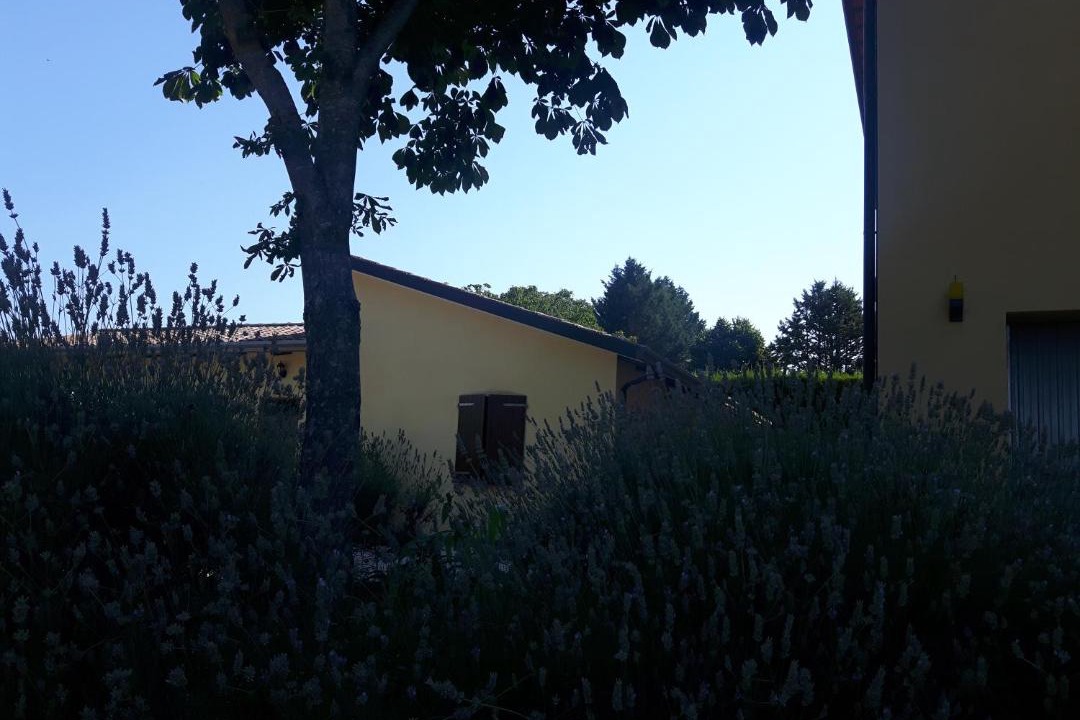 Photo of Others in Nocera Umbra