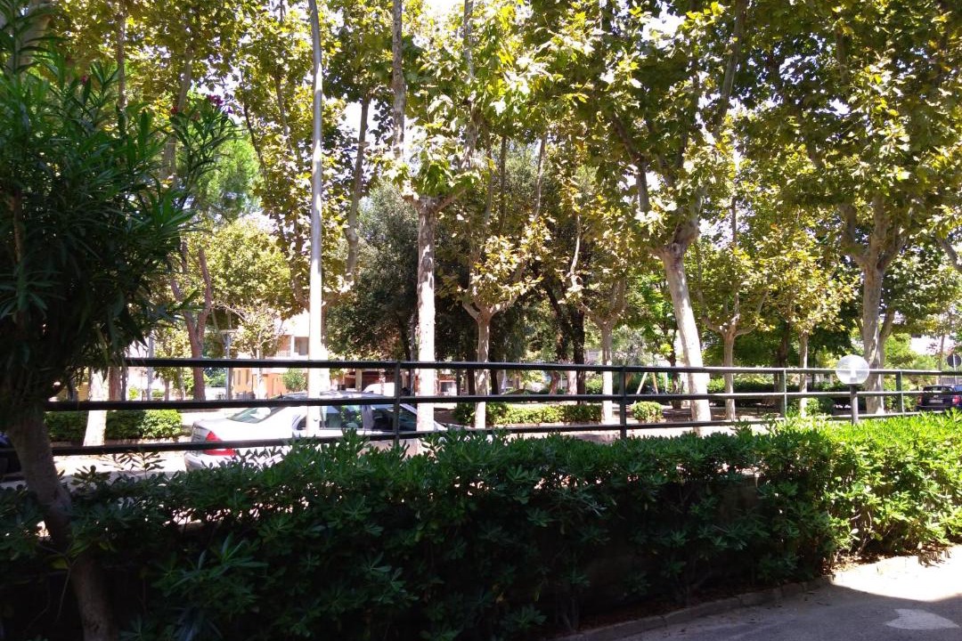 Photo of Others in Francavilla al Mare