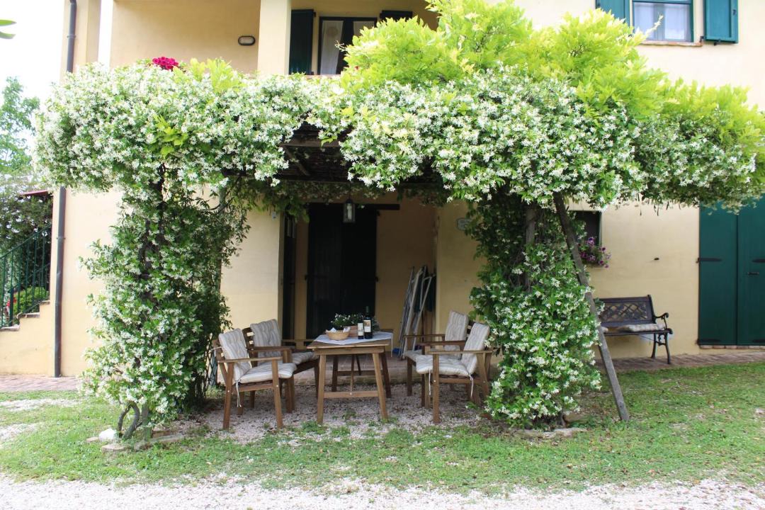 Photo of Others in Bevagna