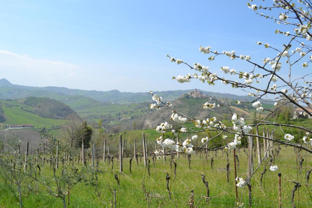 Photo of Others in Montetiffi