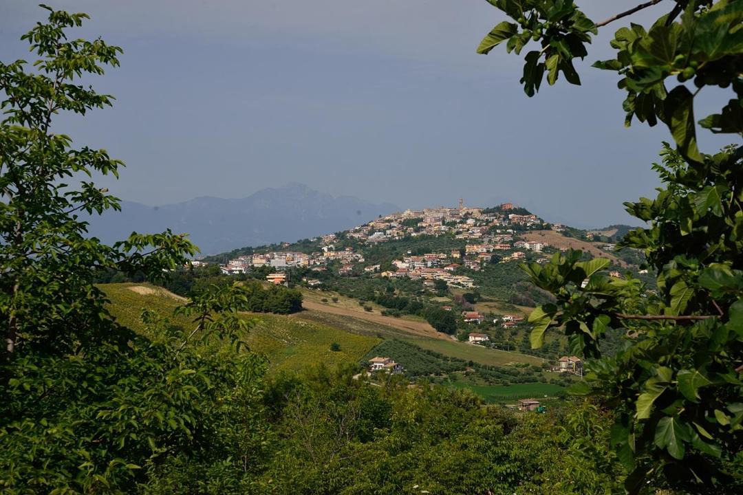Photo of Others in Citta Sant'Angelo