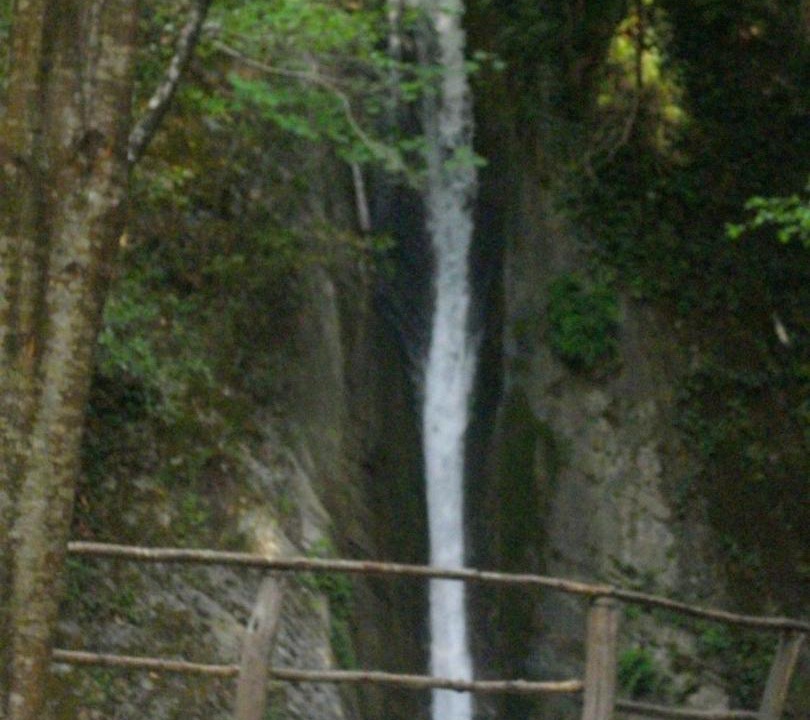 Photo of Others in Orsomarso