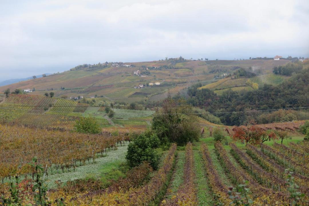 Photo of Others in Montecalvo Versiggia