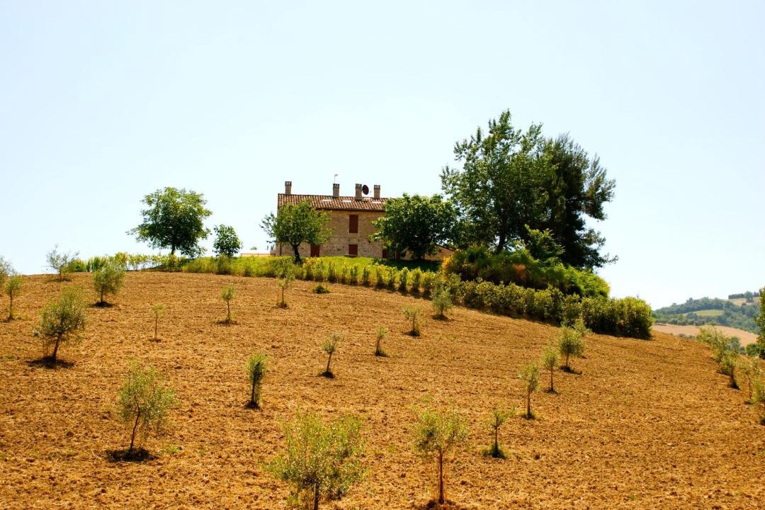 Photo of Others in Offida