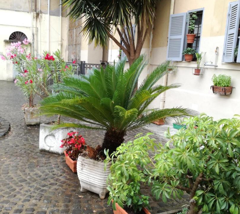 Photo of Others in Trastevere
