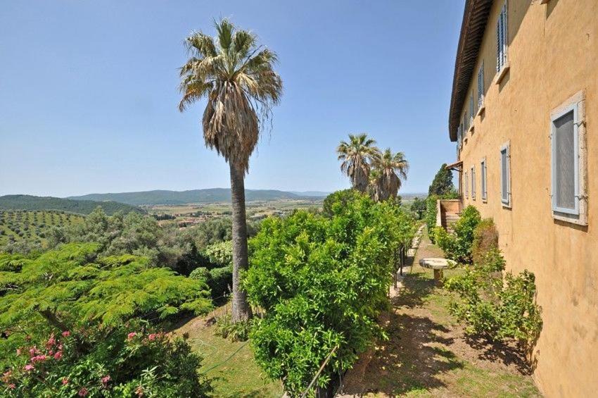 Photo of Others in Marsiliana