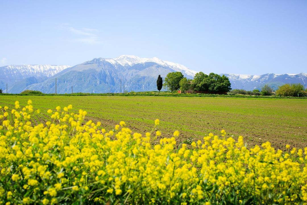 Photo of Others in Mozzagrogna