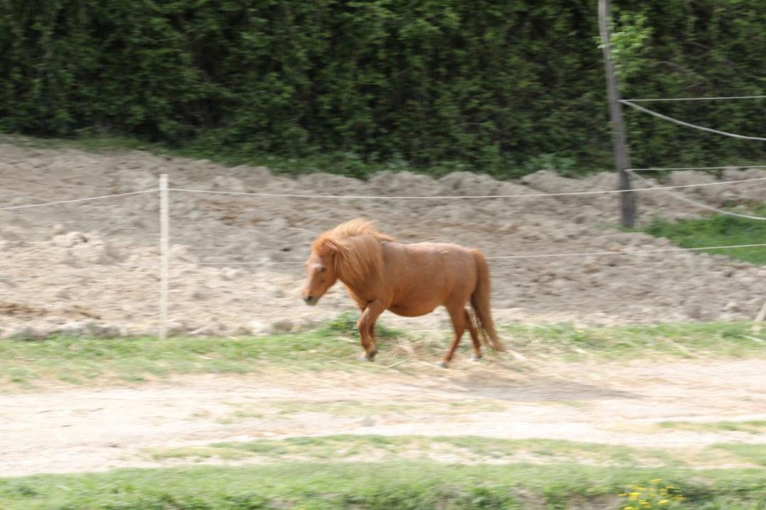 Photo of Others in Foligno
