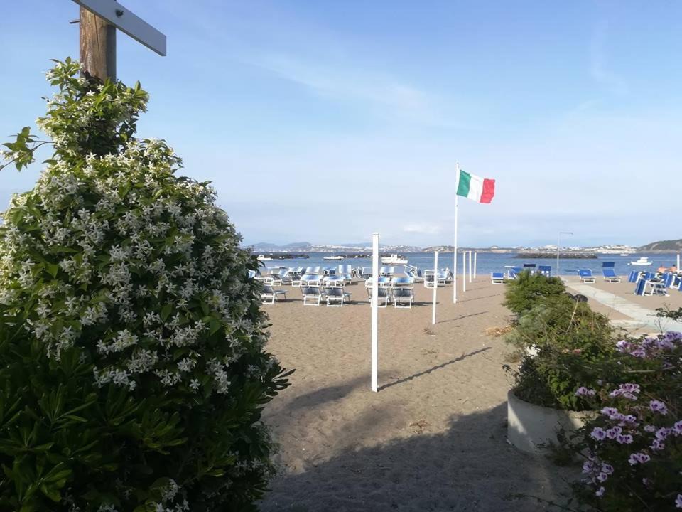 Photo of Others in Ischia Porto