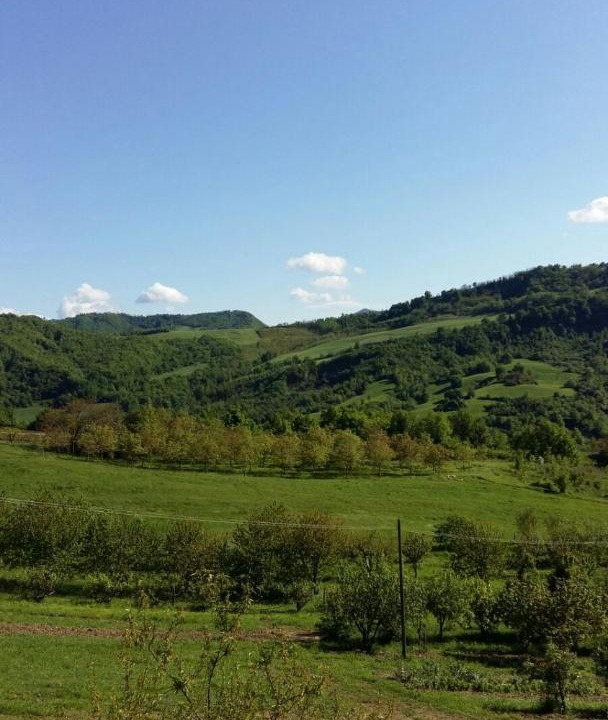 Photo of Others in Sogliano al Rubicone
