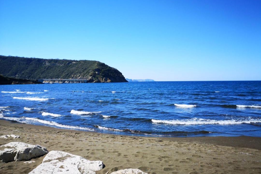 Photo of Others in Procida