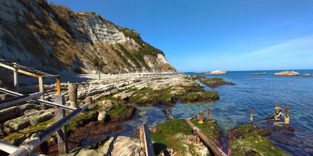 Photo of Others in Ancona