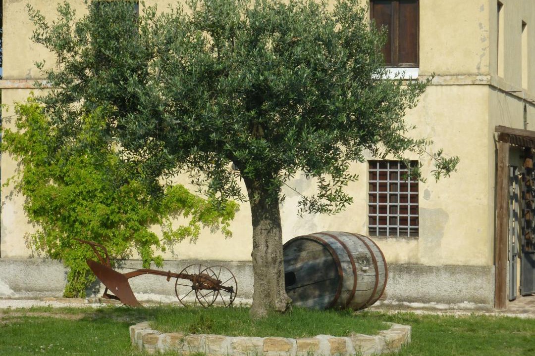 Photo of Others in Santa Vittoria in Matenano