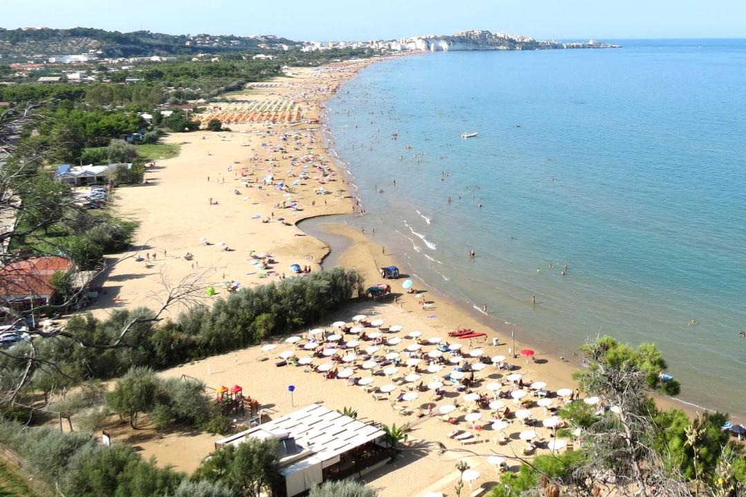 Photo of Others in Vieste