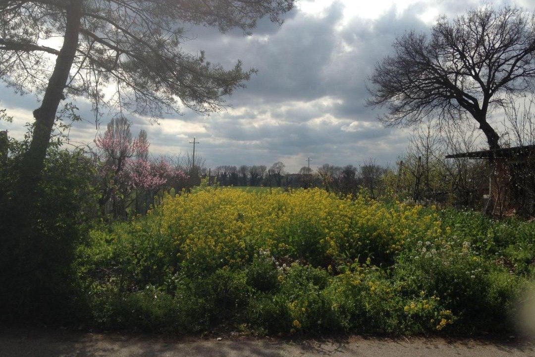 Photo of Outdoor in Lidarno