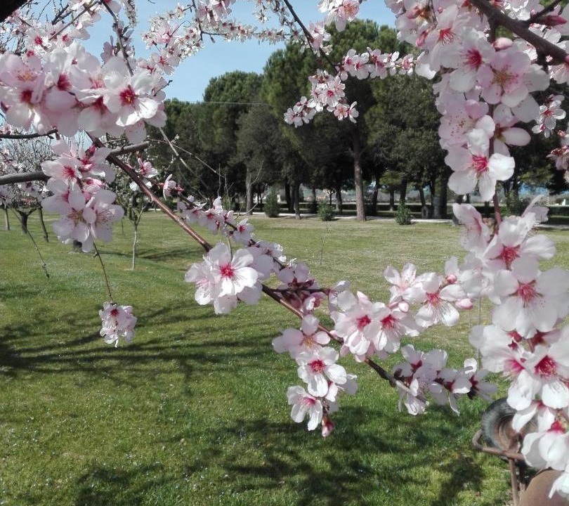 Photo of Others in Potenza Picena