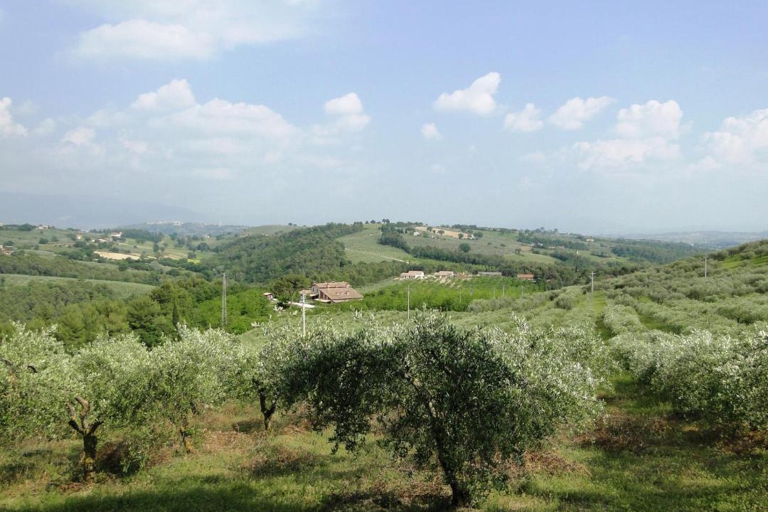 Photo of Others in Bevagna