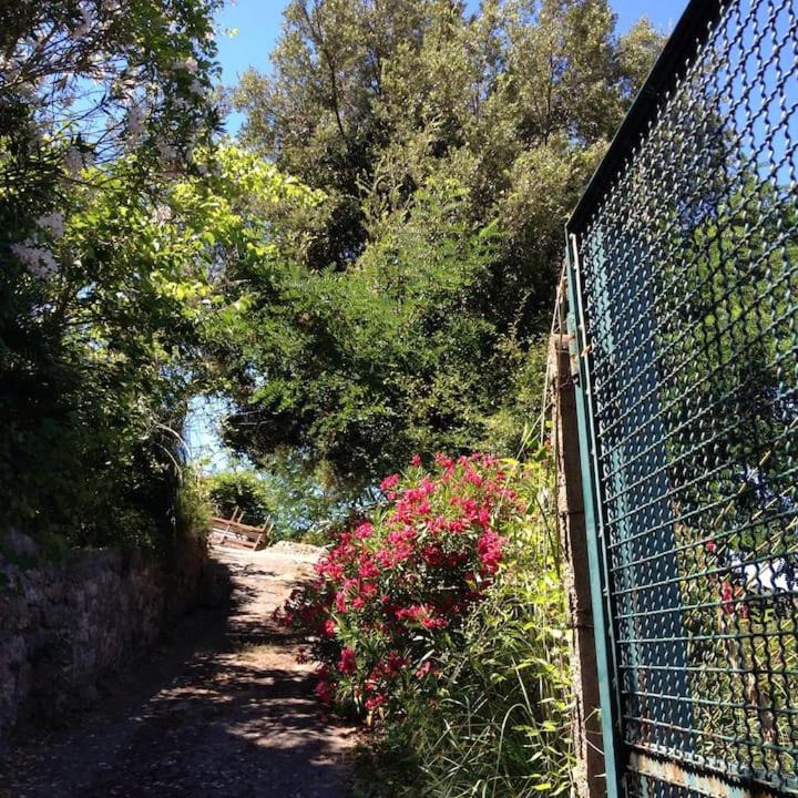 Photo of Others in Monte Argentario