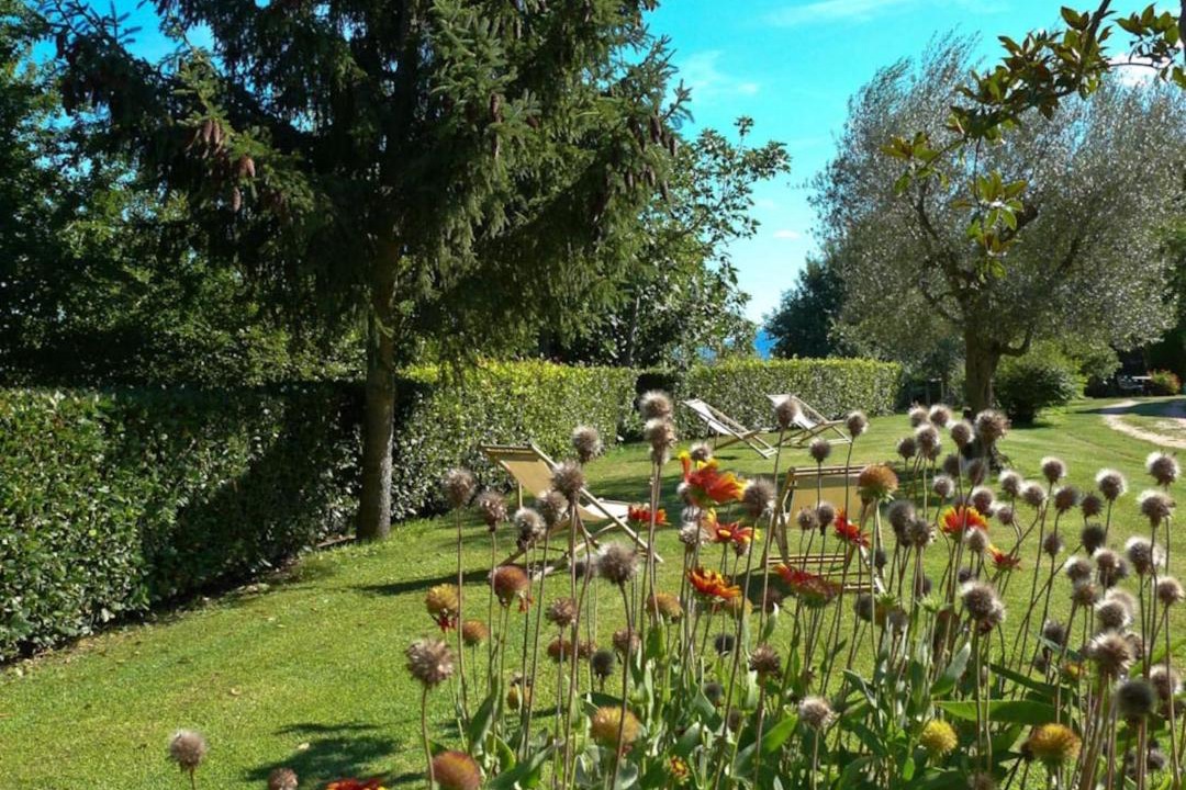 Photo of Others in Castiglione del Lago