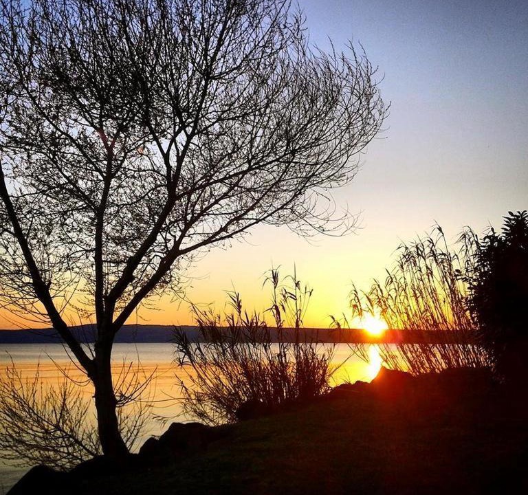 Photo of Others in Bolsena