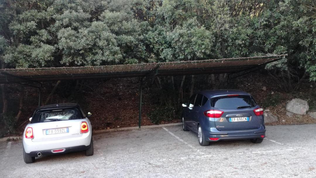Photo of Others in Cala Piccola