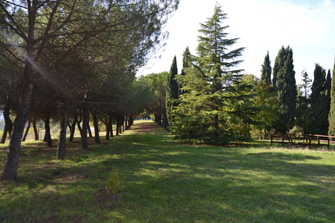 Photo of Others in Monte Santa Maria Tiberina