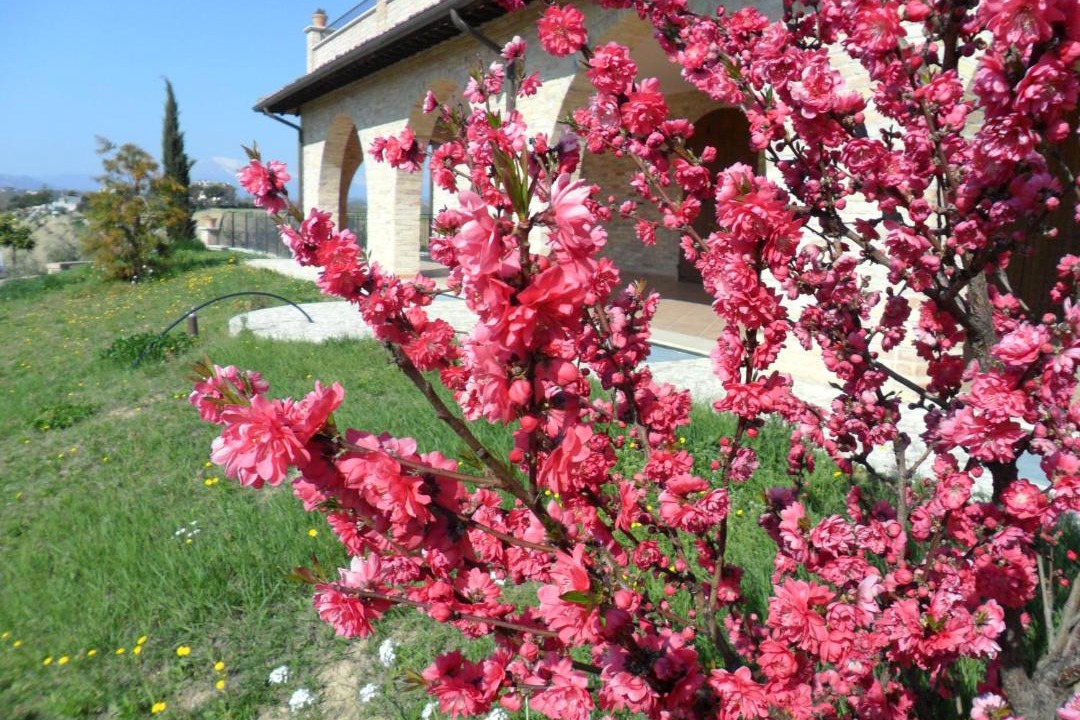 Photo of Others in Colli del Tronto