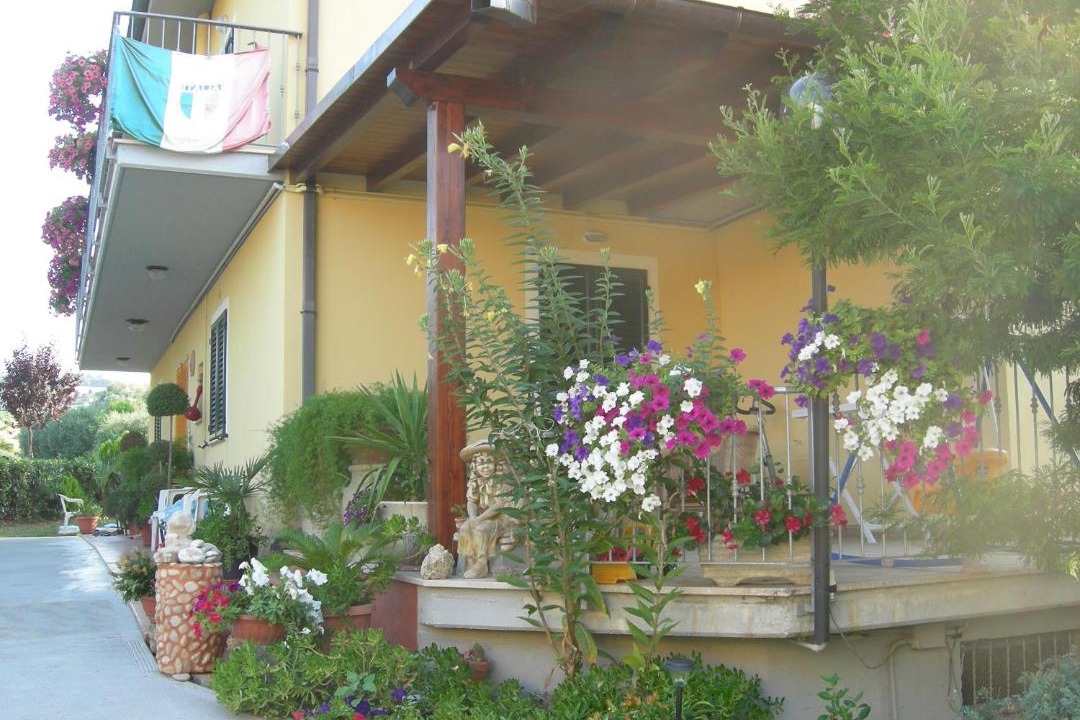 Photo of Others in Offida
