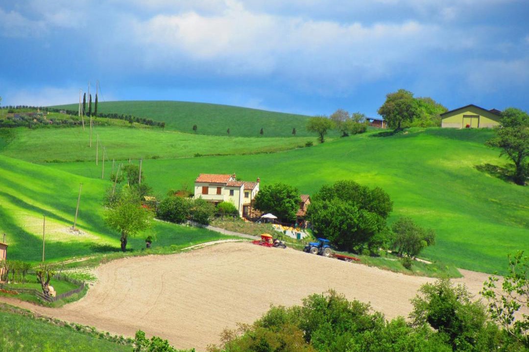 Photo of Others in Arcevia