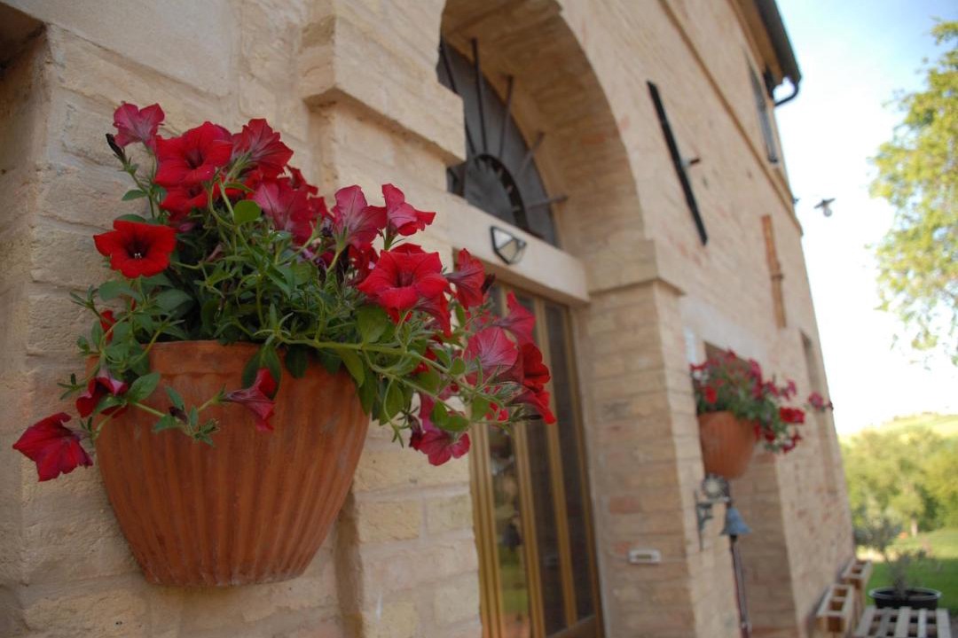 Photo of Others in Appignano