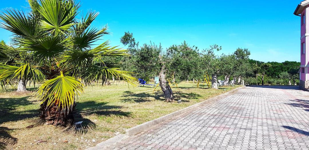 Photo of Others in Vasto