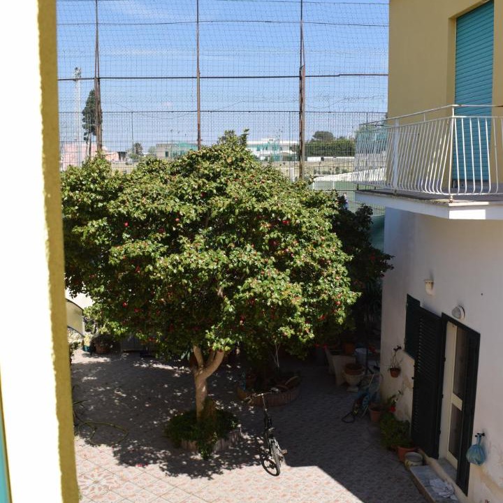 Photo of Others in Procida