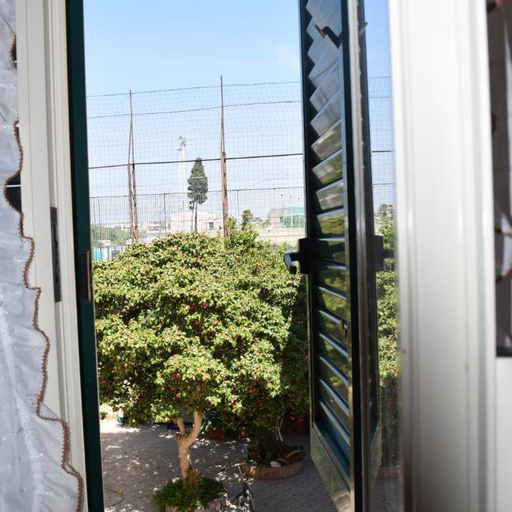 Photo of Others in Procida