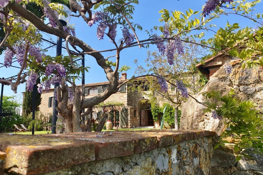 Photo of Others in Magliano in Toscana
