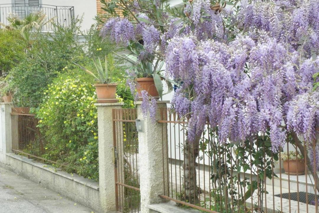 Photo of Others in Giulianova