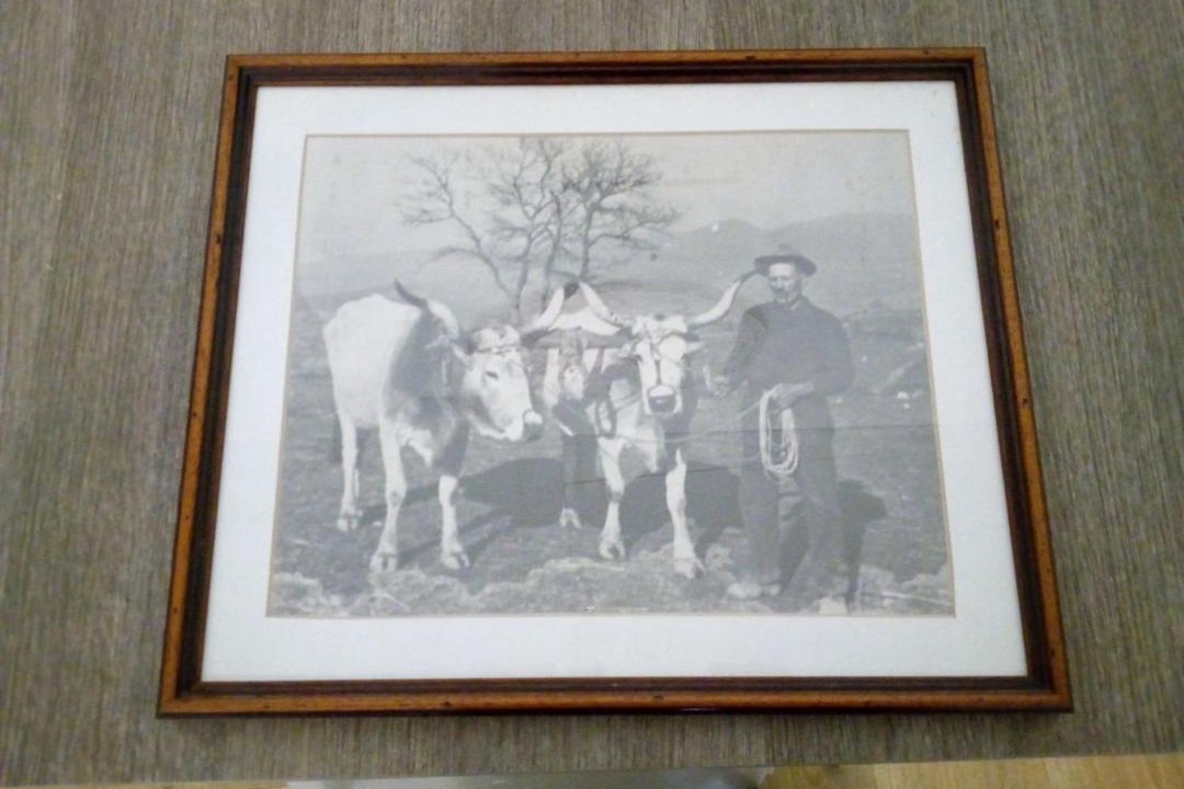 Photo of Others in Orbetello