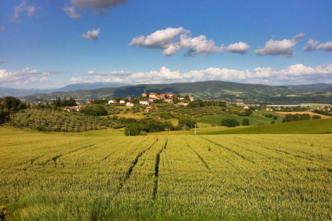 Photo of Others in Marsciano