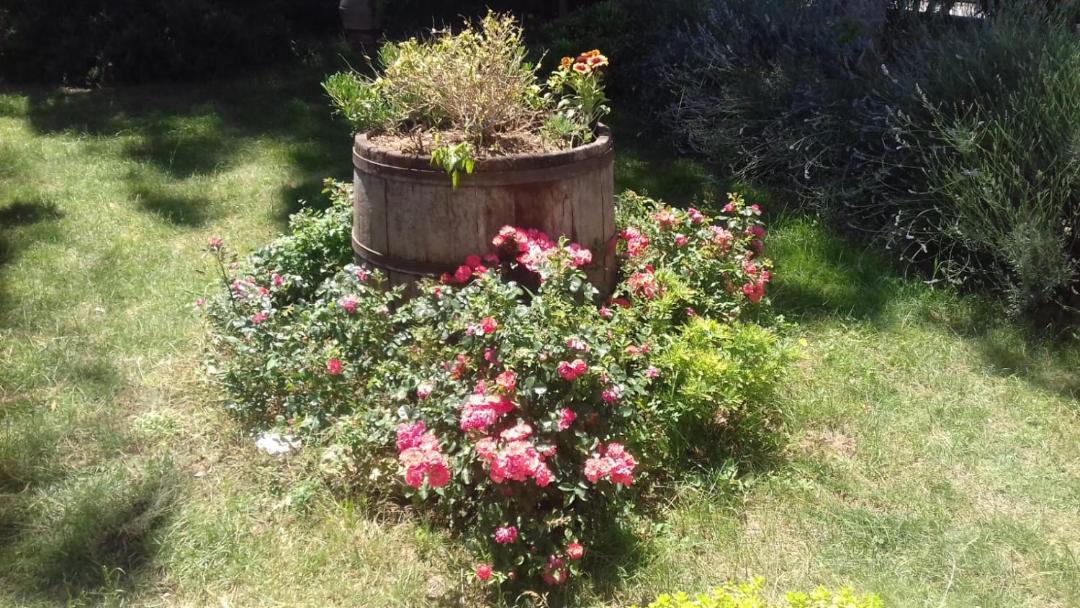 Photo of Others in Marsciano