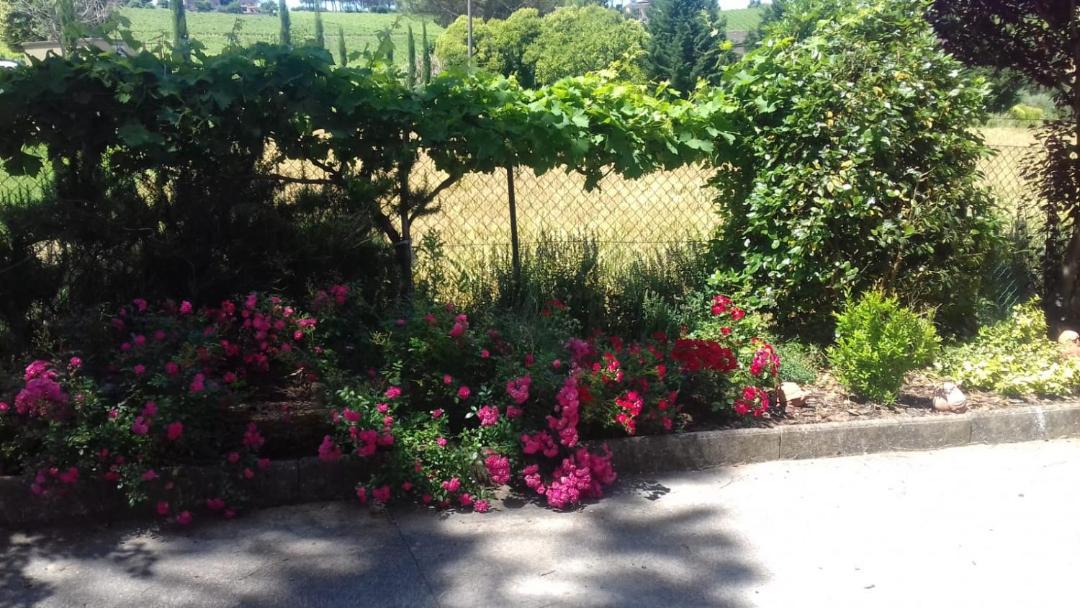 Photo of Others in Marsciano