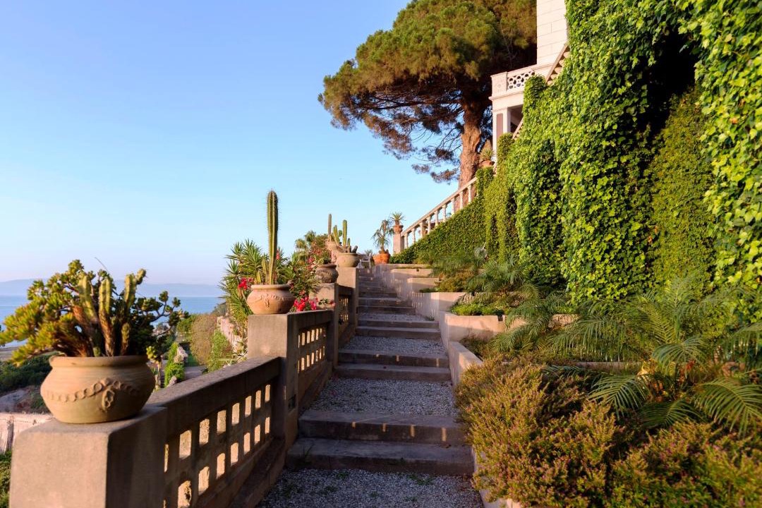 Photo of Others in Tropea
